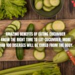 Amazing benefits of eating cucumber: Know the right time to eat cucumber, more than 100 diseases will be cured from the body.